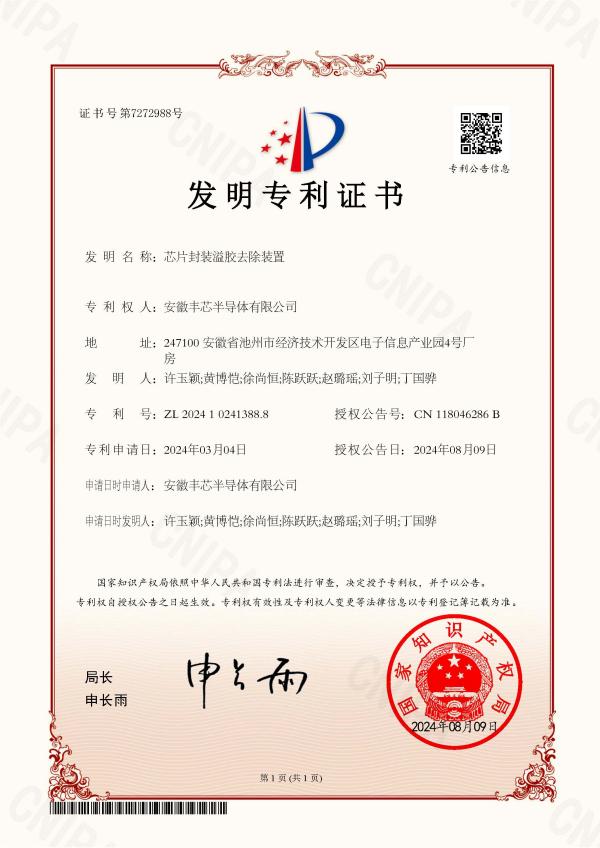 ZFBJ078-1-芯片封装溢胶去除装置-发明专利证书.jpg