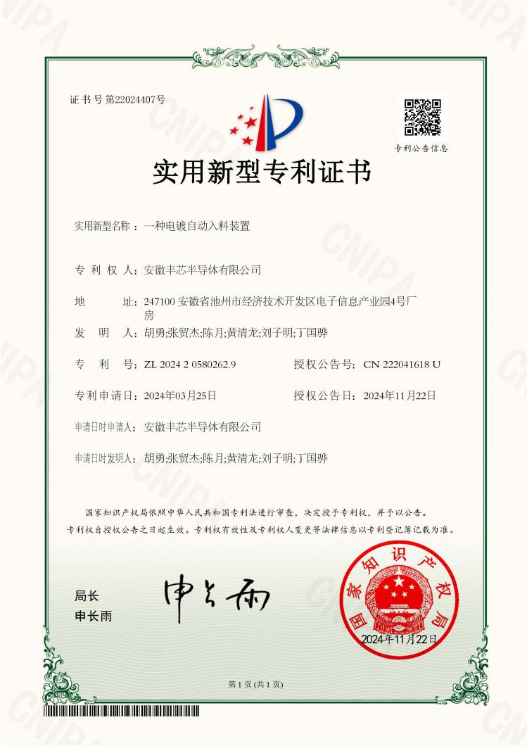 ZS132-1-一种电镀自动入料装置-实用新型专利证书.pdf.jpg